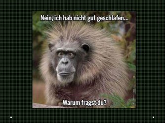 Folie1.JPG