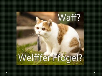 Folie3.JPG