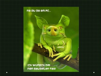 Folie10.JPG