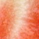 225_40 R18.jpg