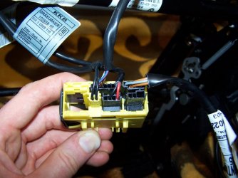 100_8152[1].jpg