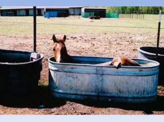 4O_Grad_in_Australi-en.012.jpg
