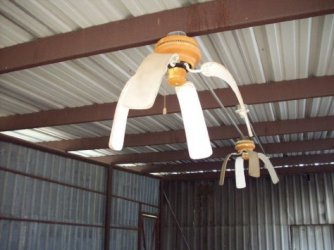 4O_Grad_in_Australi-en.013.jpg