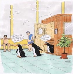 sauna_3.JPG