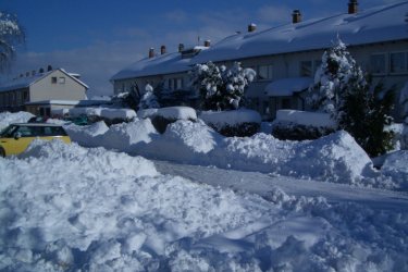 Winter.JPG