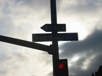 sea world san diego.JPG