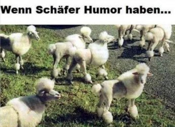 2Aufzeichnen.JPG