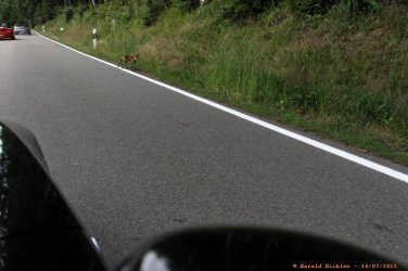 IMG_5560_DxO_rgb.jpg