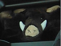 Greenshot.png