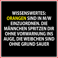 maennlich-weiblich.jpg.png