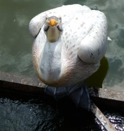 DSCN0504.jpg