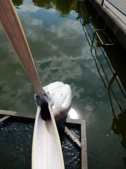 DSCN0508.jpg