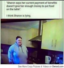 1438011491672.jpg