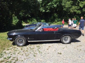 Orginal_Mustang_1512.JPG