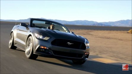 Mustang3_1584.JPG