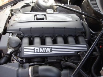 IMG_0649.JPG IMG_0649.JPG