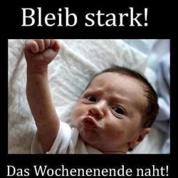 lustig.jpg