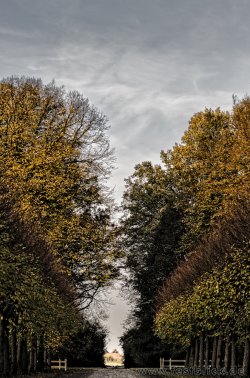 Festblick2015 (2 von 1)-14.jpg