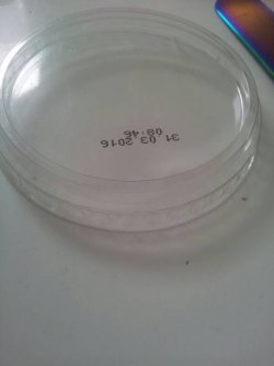 1438255418925.jpg