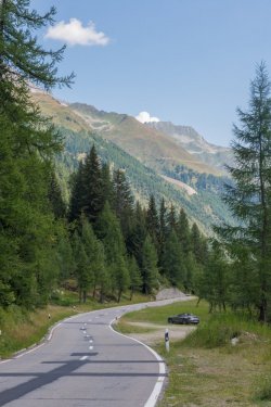 DSC_7485.jpg