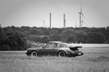 IMG_0007-bw.jpg