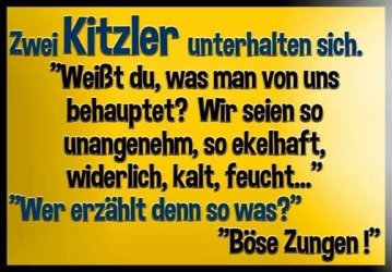 030df7_witz10.jpg