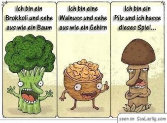 71492d1342325501-witze-ich-hasse-dieses-spiel.jpg