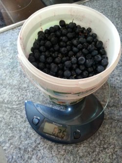 20150822_112227.jpg