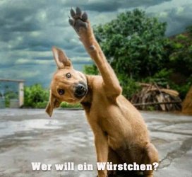 wer_will.jpg