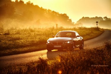 Z4-SunsOut.jpg