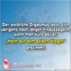 Der_weibliche_Orgasmus.jpg