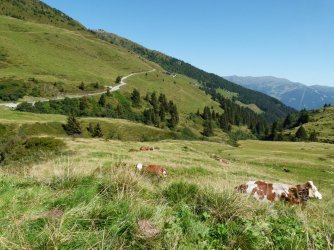 Zillertal-3.jpg