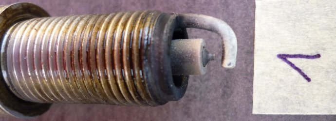 P1010250.JPG