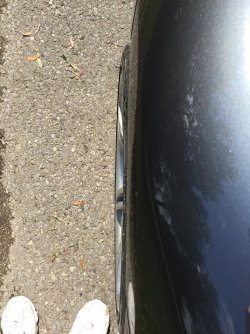 IMG_0662.JPG IMG_0662.JPG