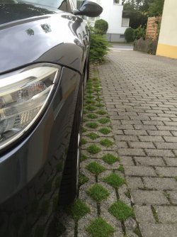 IMG_2018.JPG IMG_2018.JPG