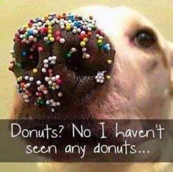 Donuts.jpg
