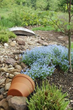 Spezielle_Gartenkunst_3.jpg