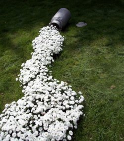 Spezielle_Gartenkunst_1.jpg