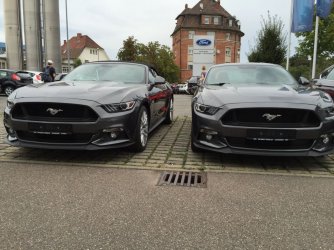 IMGMustangVorne_1836.jpg