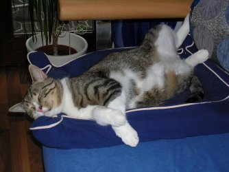 Kopie von DSCN8864.JPG