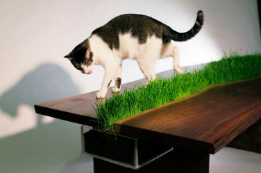 Design_-_von_der_Natur_inspiriert_8.jpg