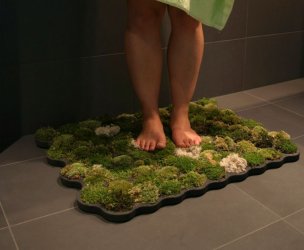 Design_-_von_der_Natur_inspiriert_17.jpg