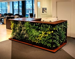 Design_-_von_der_Natur_inspiriert_23.jpg