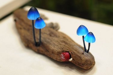 Design_-_von_der_Natur_inspiriert_26.jpg