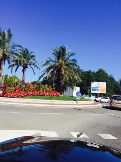 IMG-20150907-WA0016_Bildgröße ändern.jpg