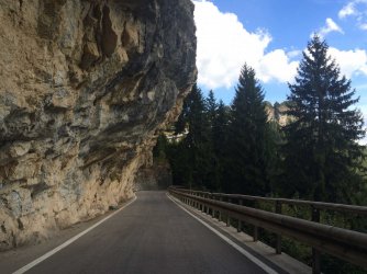 IMG_1782_1.jpg IMG_1782_1.jpg