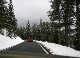 winter2.jpg