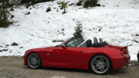z4(1).jpg