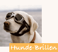 Hund2.gif