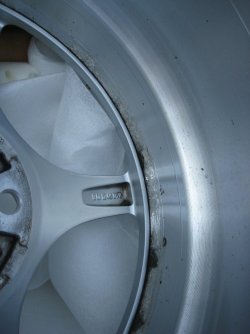 IMG_3227.jpg